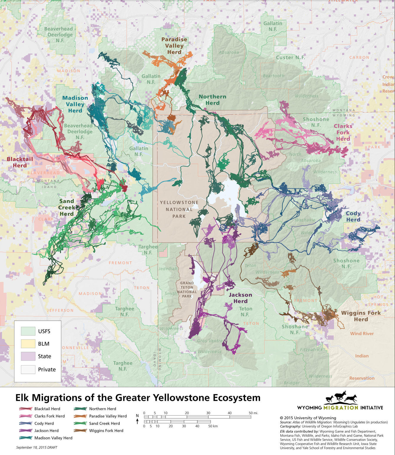 Elk migrations of Greater Yellowstone